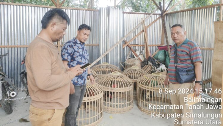 Polsek Tanah Jawa amankan barang bukti hasil penggerebekan arena sabung ayam